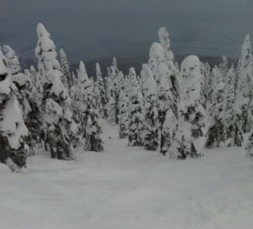 snow pillars - old