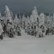 snow pillars - old