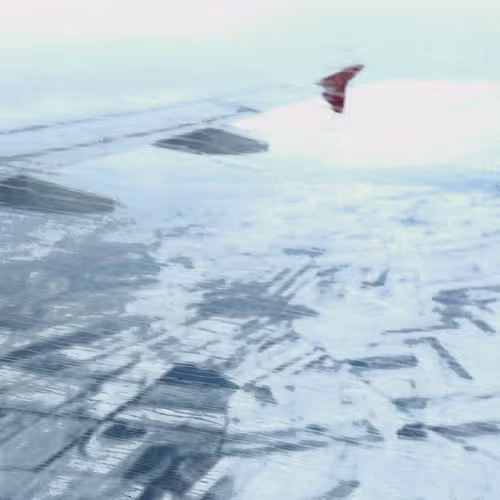 snowy fielsa