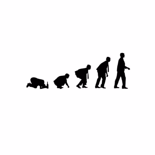 Sober Evolution - old