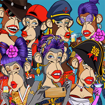 SocialApe Society Fashion & Collaboration Gallery - old V2
