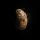 Social Potatoes - 21 Portraits by Benjamin Pfitscher