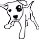 Society of Dogs