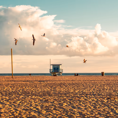 Solace by the Sea - old