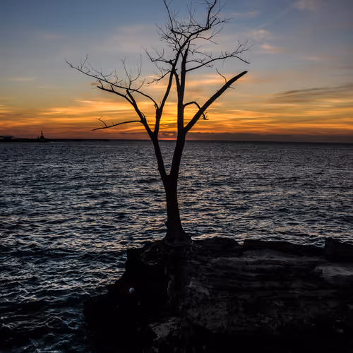 Random Landscapes