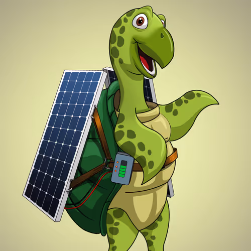 Solar Sea Turtle - old