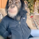 SoloBlizzy