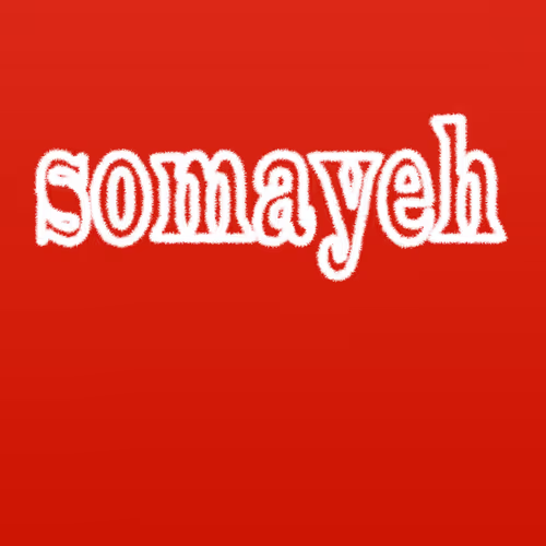 somayeh021