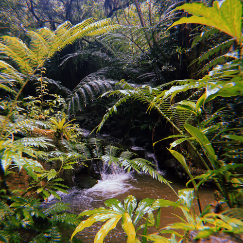 Somewhere In Hawaii