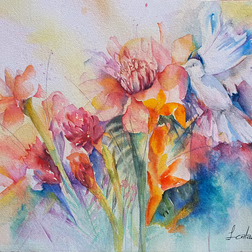 Sonia Scalabrin International Exhibitions