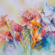 Sonia Scalabrin International Exhibitions