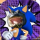 sonic alligator