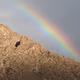 Sonoran Ranch