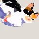 SONYA GOLDEN CAT