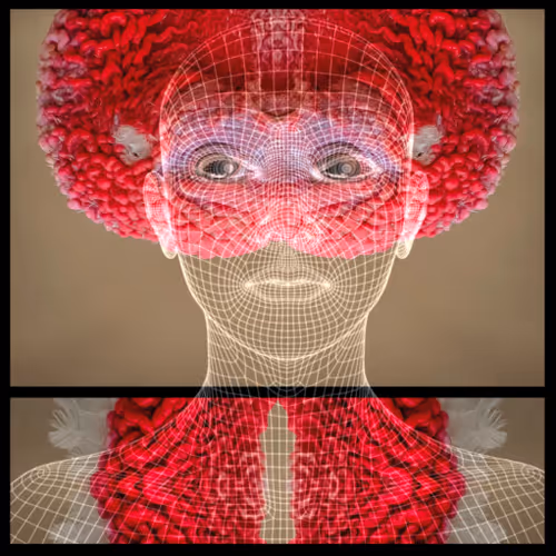 SOPRG Varicek Tomas TurkeyHead