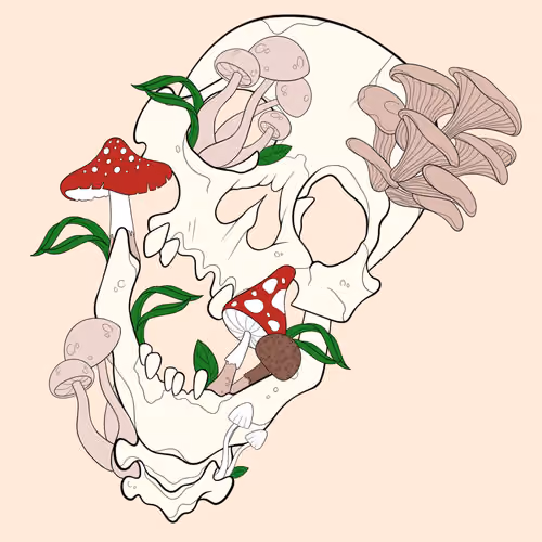 SoSkullz