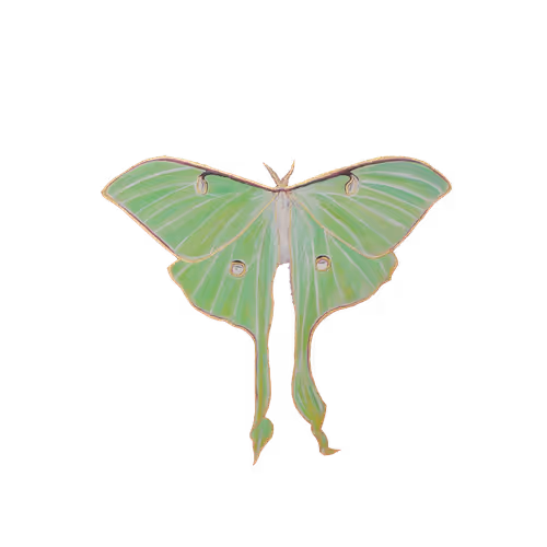 Soul aesthetic - old