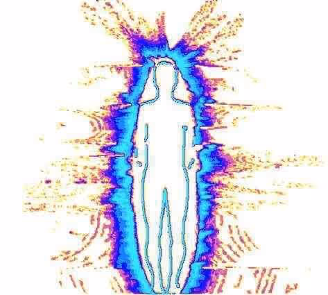 SOUL FAMILY PAUL CARSON JARAMY V2 - old