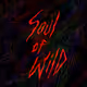 Soul of Wild