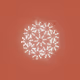 Soul Mandala Project
