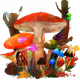 sowaka Crypto-Mushroom