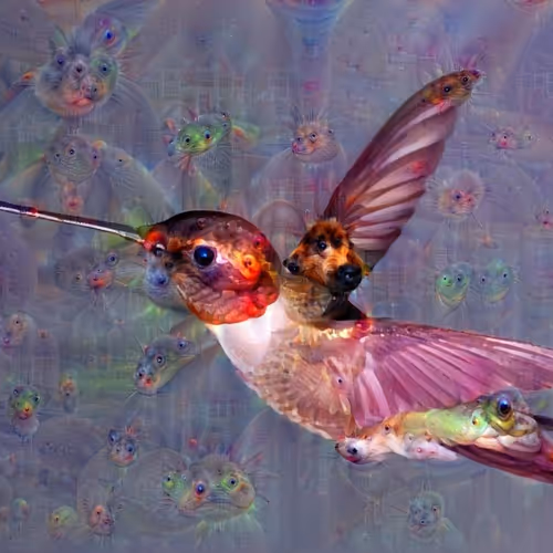 Space Birds