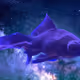 - Space Fish -