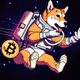 space-shiba