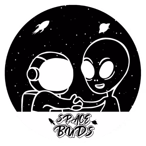 Space Buds Collabs/Art