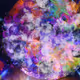 Space Cells in the Cosmos