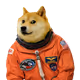 SpaceDogeMarines