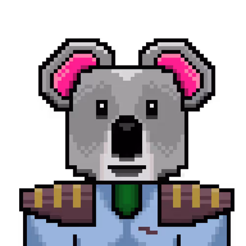 SpaceKoalas