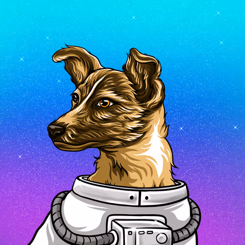SpaceLaikaNFT