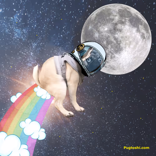SpacePugX