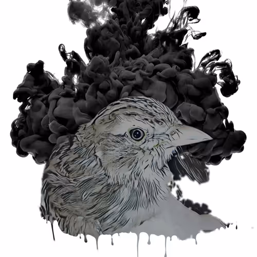 Sparrow Adventure