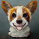 Special Corgi