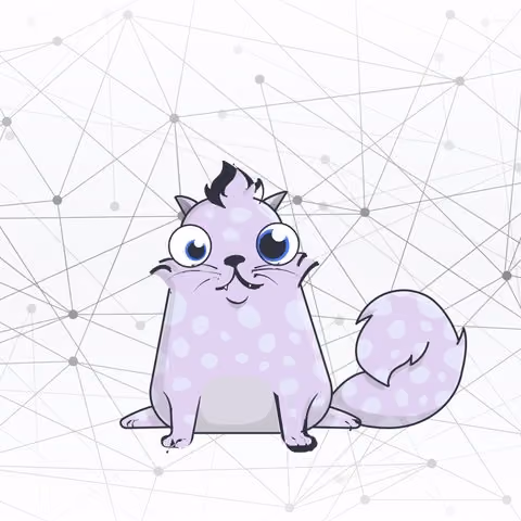 Special Crypto Arts
