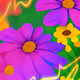 Special floral and nature arts.