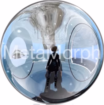 "MetaMorph" by Marigela Pueyrredon: The Origin