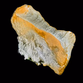 Atlas of Speculative Mineralogy - Collection I - Album I