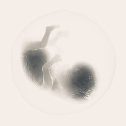 Sphere of Life - old V2