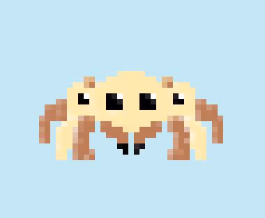 Spider Punk