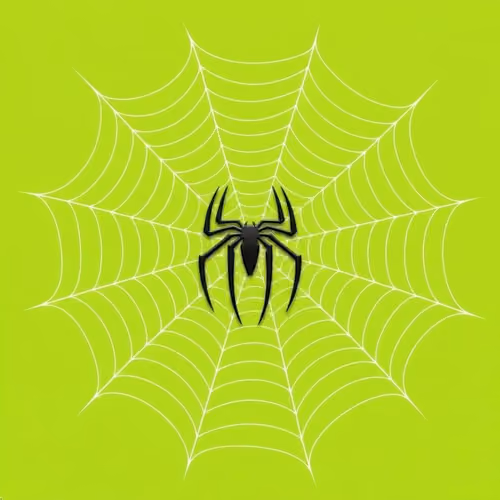 SPIDEY DESIGN