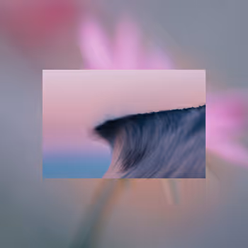 Spindrift Blossoms
