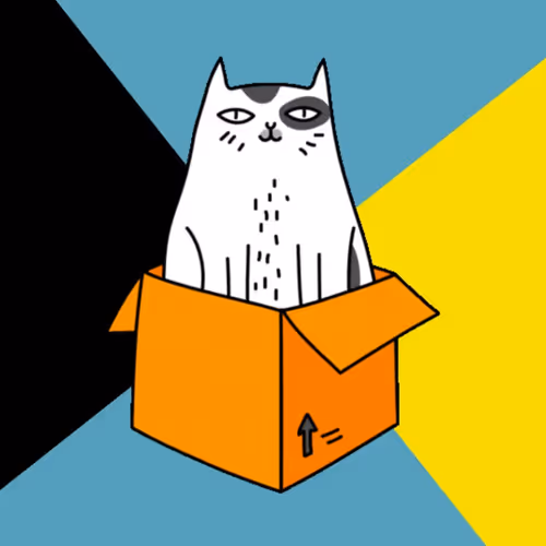 Spinning cat and its' box