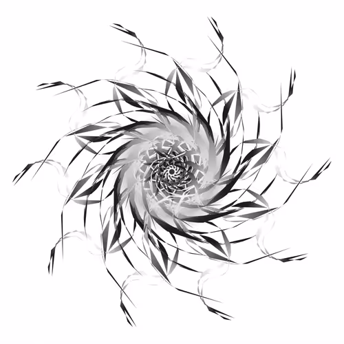Spirals - Coda Series - old - old