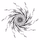 Spirals - Coda Series - old - old