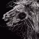 spirit of the warrior - old