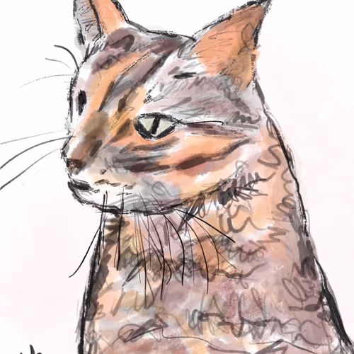 Spiritual Kitty & Friends