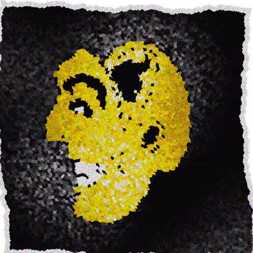 Split Head